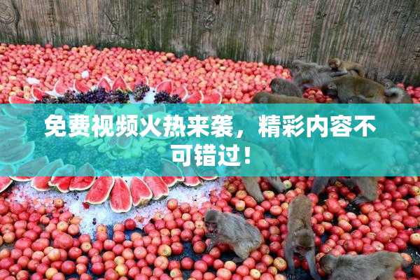 免费视频火热来袭，精彩内容不可错过！