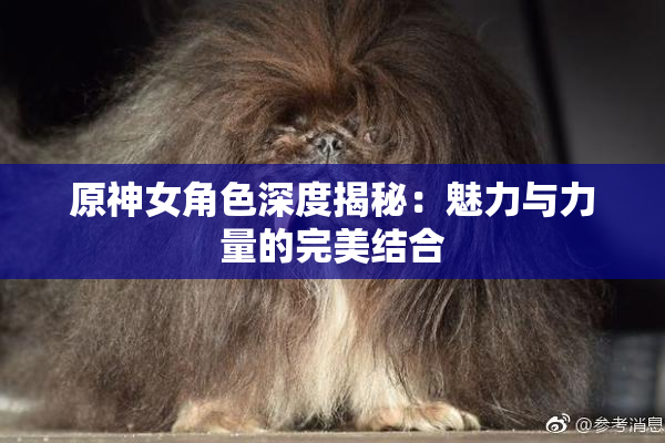 原神女角色深度揭秘：魅力与力量的完美结合