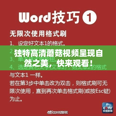 独特高清蘑菇视频呈现自然之美，快来观看！