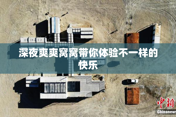 深夜爽爽窝窝带你体验不一样的快乐
