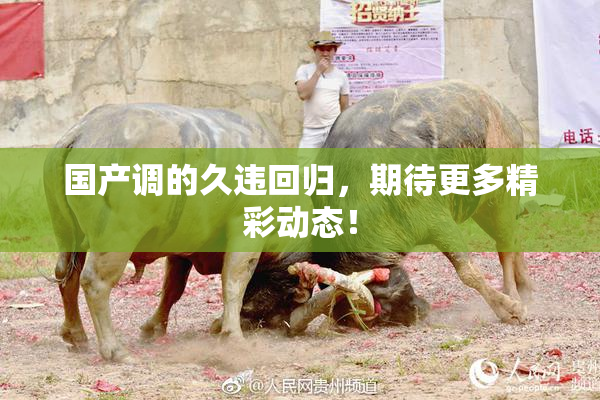 国产调的久违回归，期待更多精彩动态！