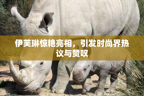 伊芙琳惊艳亮相，引发时尚界热议与赞叹