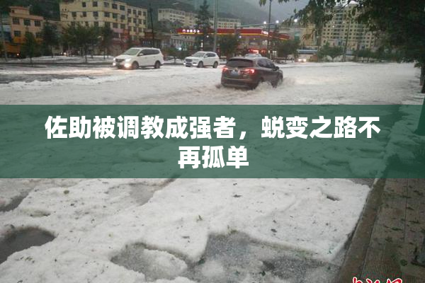 佐助被调教成强者，蜕变之路不再孤单