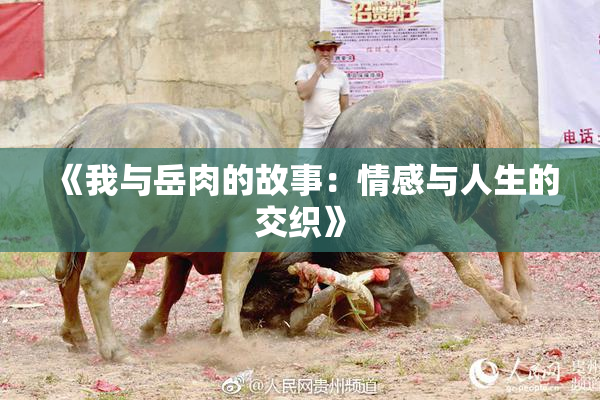 《我与岳肉的故事：情感与人生的交织》