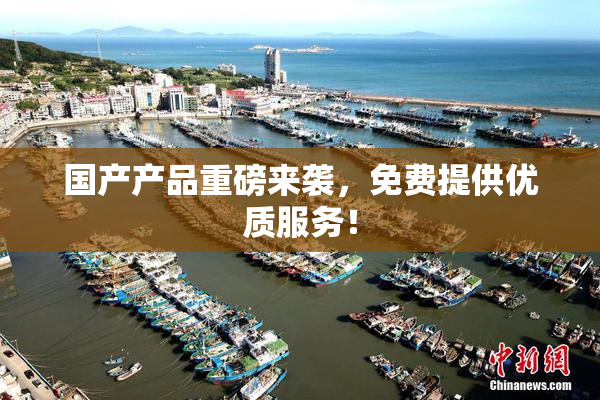 国产产品重磅来袭，免费提供优质服务！