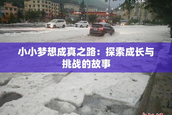 小小梦想成真之路：探索成长与挑战的故事
