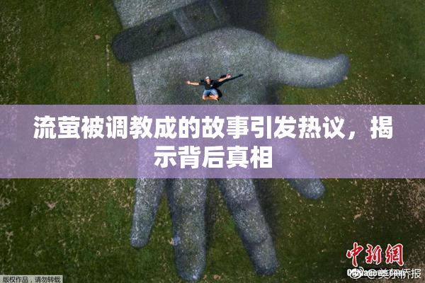 流萤被调教成的故事引发热议，揭示背后真相