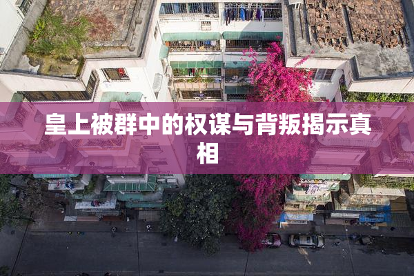 皇上被群中的权谋与背叛揭示真相