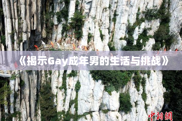 《揭示Gay成年男的生活与挑战》
