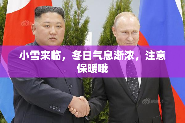 小雪来临，冬日气息渐浓，注意保暖哦