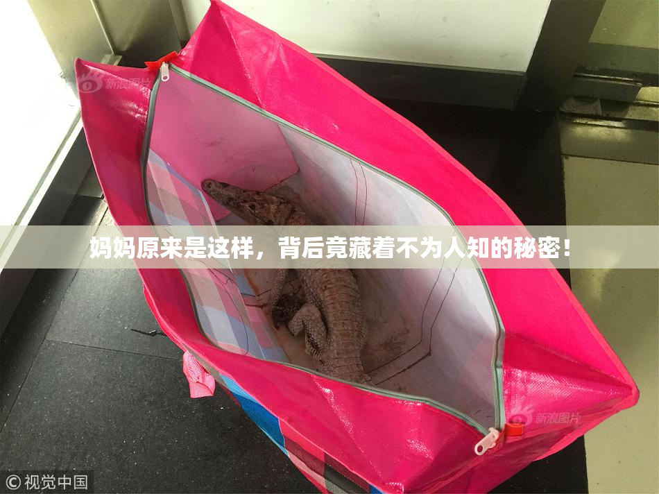 妈妈原来是这样，背后竟藏着不为人知的秘密！