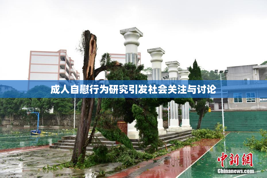 成人自慰行为研究引发社会关注与讨论
