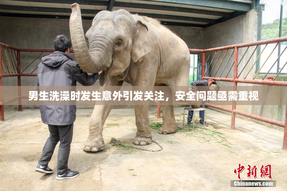 男生洗澡时发生意外引发关注，安全问题亟需重视