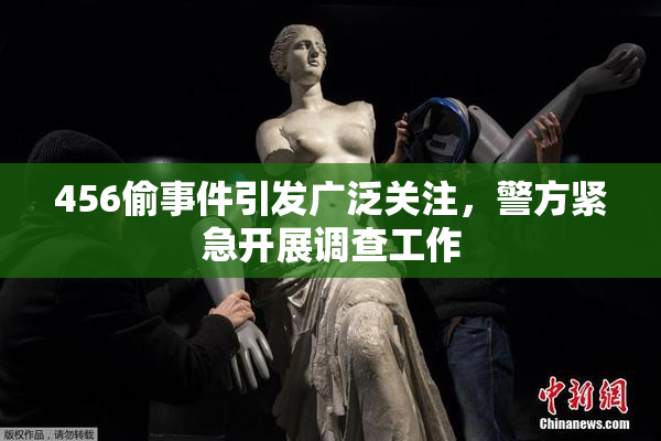 456偷事件引发广泛关注，警方紧急开展调查工作