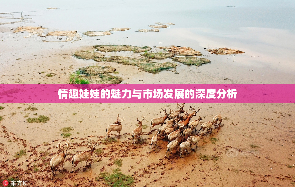 情趣娃娃的魅力与市场发展的深度分析