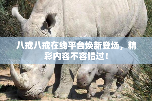 八戒八戒在线平台焕新登场，精彩内容不容错过！