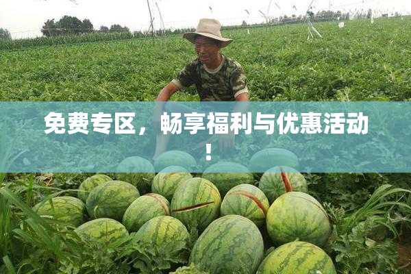 免费专区，畅享福利与优惠活动！