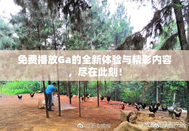 免费播放Ga的全新体验与精彩内容，尽在此刻！