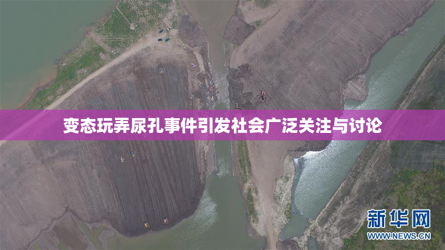 变态玩弄尿孔事件引发社会广泛关注与讨论