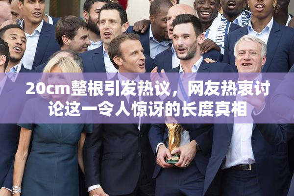 20cm整根引发热议，网友热衷讨论这一令人惊讶的长度真相
