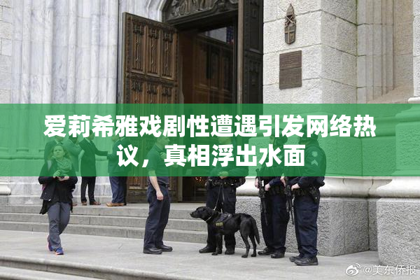 爱莉希雅戏剧性遭遇引发网络热议，真相浮出水面