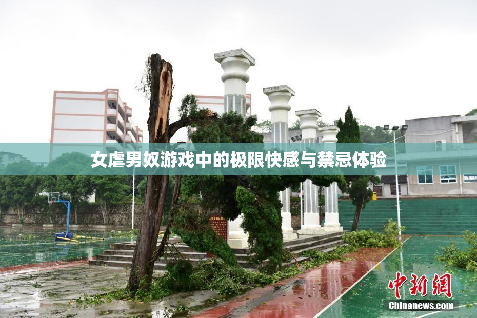 女虐男奴游戏中的极限快感与禁忌体验