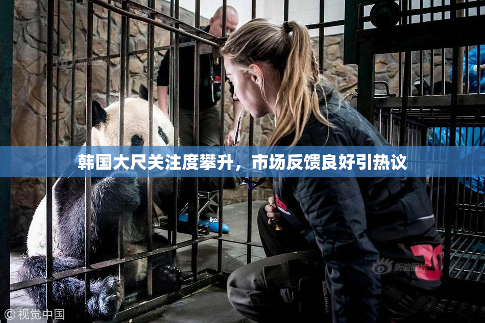 韩国大尺关注度攀升，市场反馈良好引热议