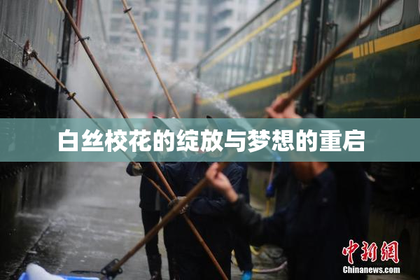 白丝校花的绽放与梦想的重启