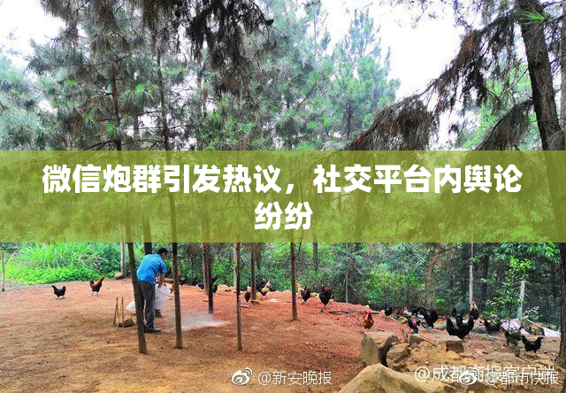 微信炮群引发热议，社交平台内舆论纷纷