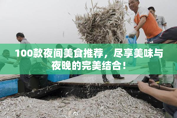 100款夜间美食推荐，尽享美味与夜晚的完美结合！