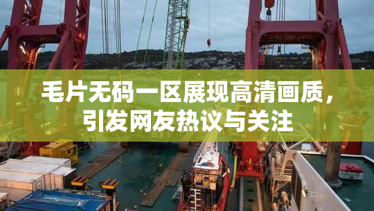 毛片无码一区展现高清画质，引发网友热议与关注