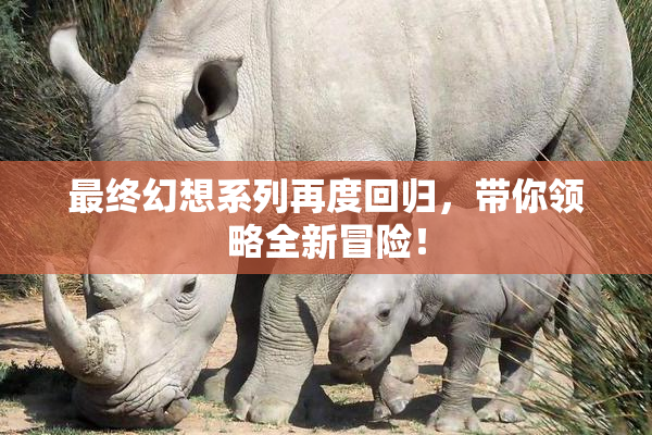 最终幻想系列再度回归，带你领略全新冒险！