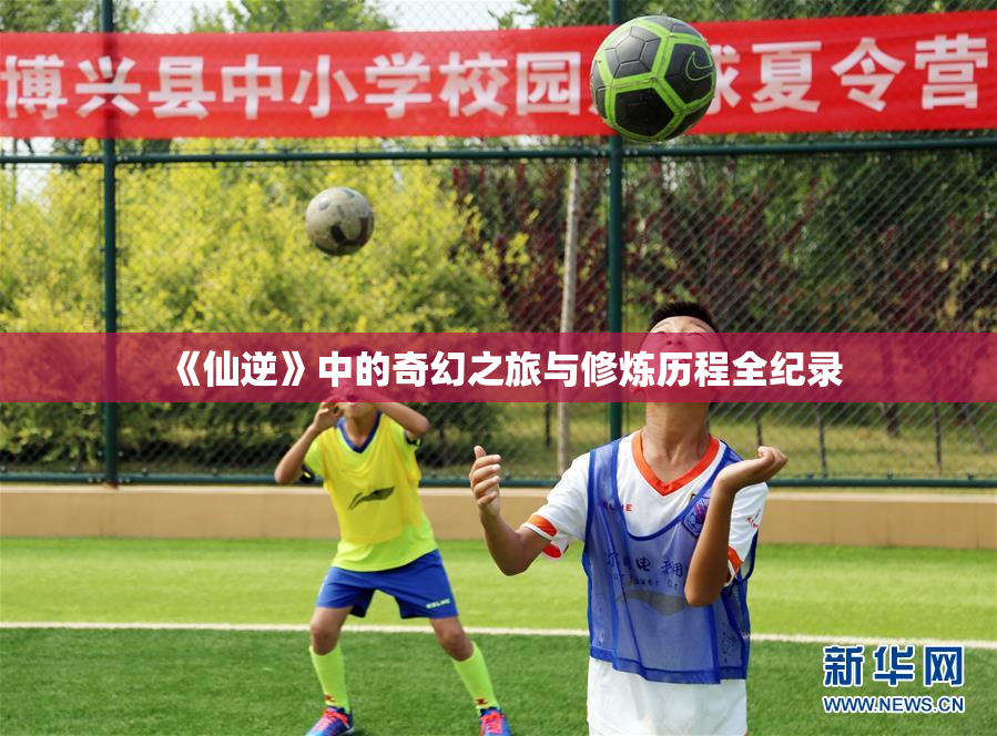 《仙逆》中的奇幻之旅与修炼历程全纪录