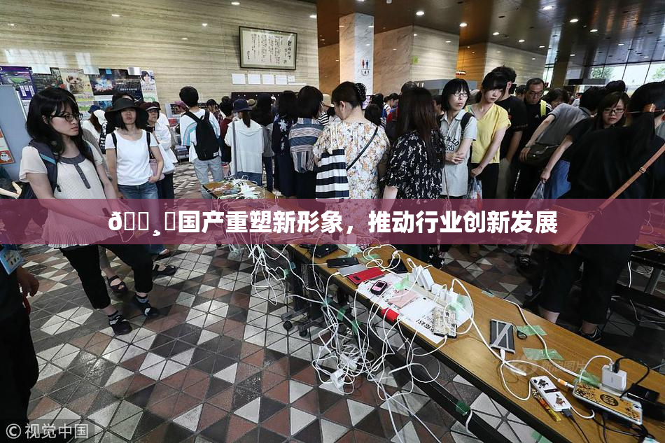 🌸‌国产重塑新形象，推动行业创新发展