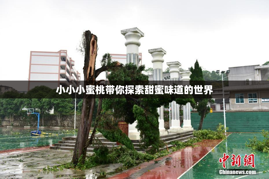 小小小蜜桃带你探索甜蜜味道的世界