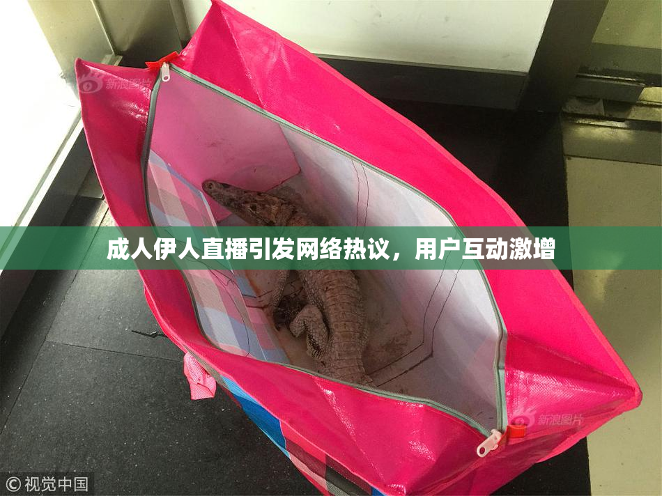成人伊人直播引发网络热议，用户互动激增