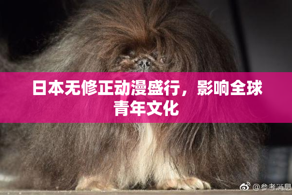 日本无修正动漫盛行，影响全球青年文化