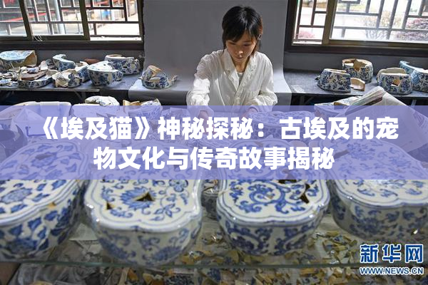 《埃及猫》神秘探秘：古埃及的宠物文化与传奇故事揭秘