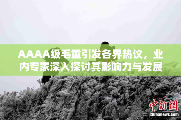 AAAA级毛重引发各界热议，业内专家深入探讨其影响力与发展前景