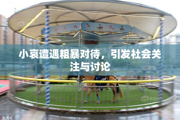 小哀遭遇粗暴对待，引发社会关注与讨论