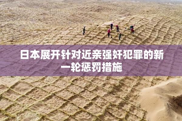 日本展开针对近亲强奸犯罪的新一轮惩罚措施
