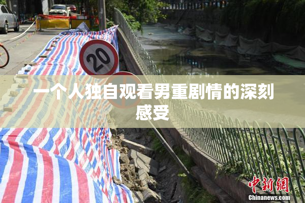 一个人独自观看男重剧情的深刻感受