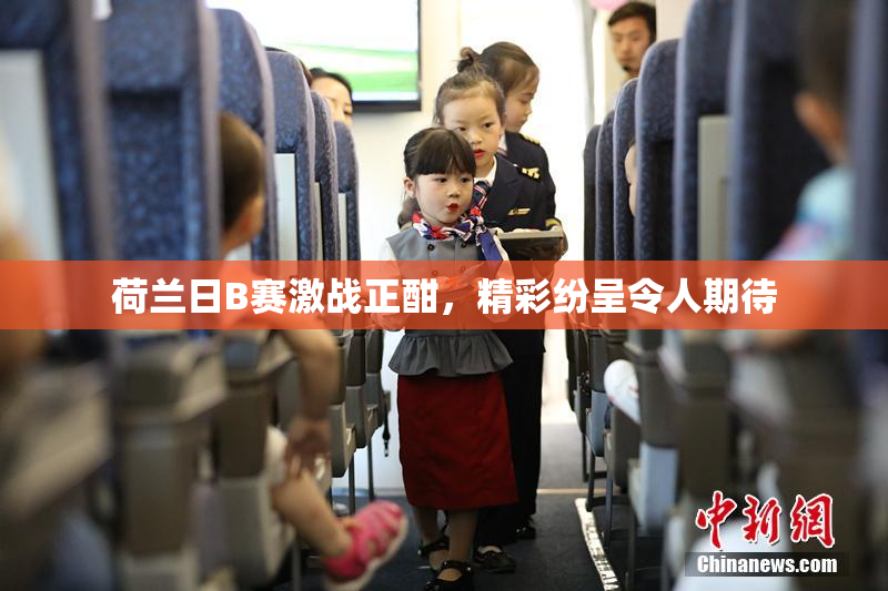 荷兰日B赛激战正酣，精彩纷呈令人期待