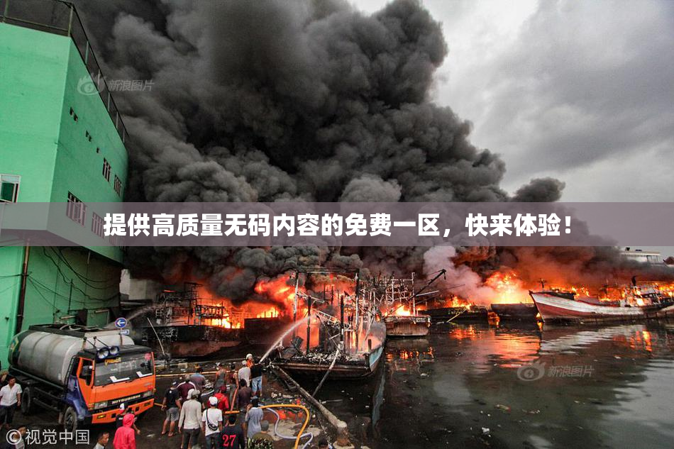 提供高质量无码内容的免费一区，快来体验！