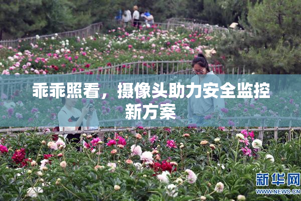 乖乖照看，摄像头助力安全监控新方案