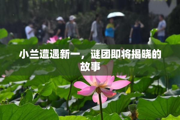 小兰遭遇新一，谜团即将揭晓的故事