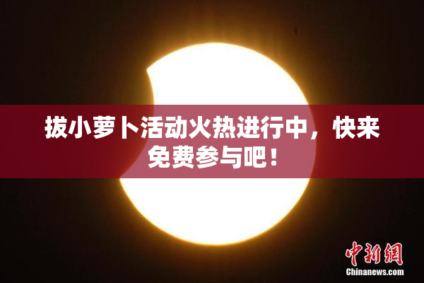 拔小萝卜活动火热进行中，快来免费参与吧！