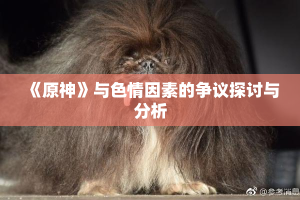 《原神》与色情因素的争议探讨与分析