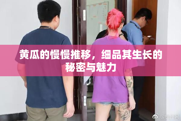 黄瓜的慢慢推移，细品其生长的秘密与魅力