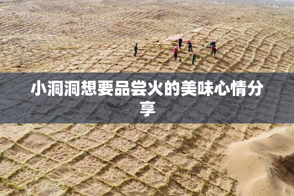 小洞洞想要品尝火的美味心情分享